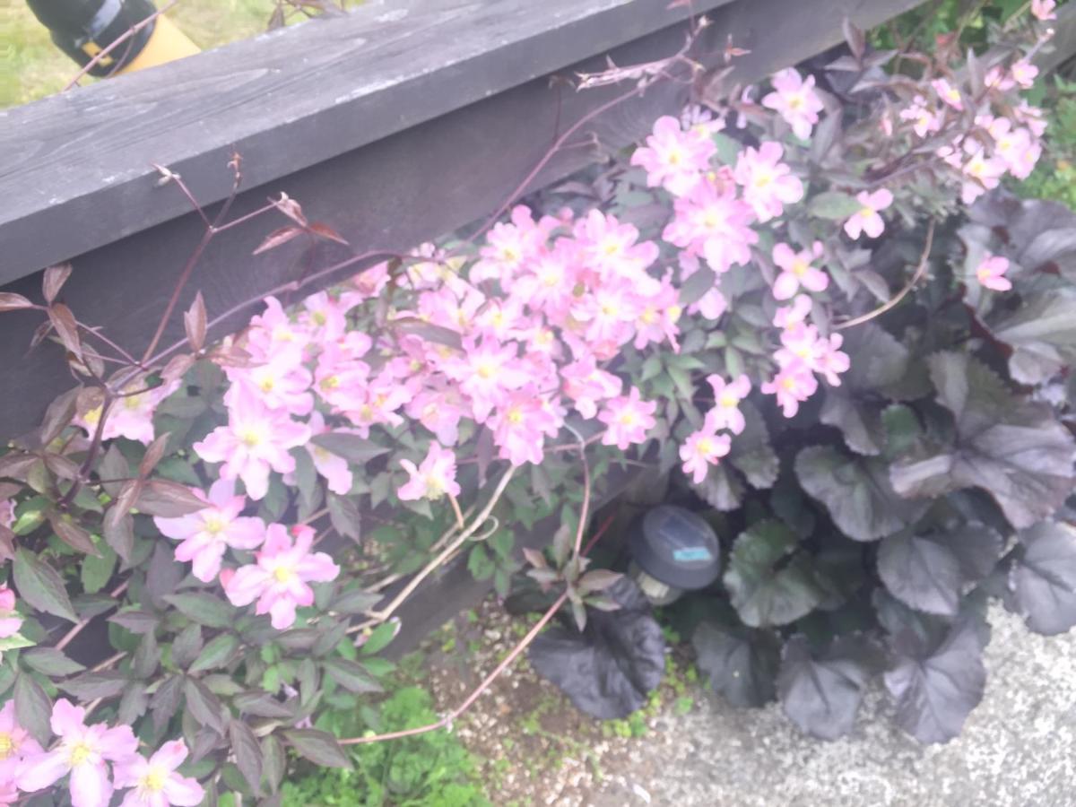 Villa Loca Garden Yamanakako Bagian luar foto